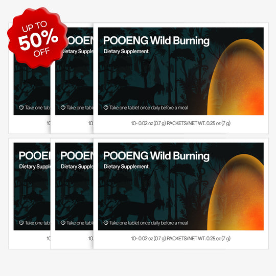Pooeng Wild Burning 6 Boxes