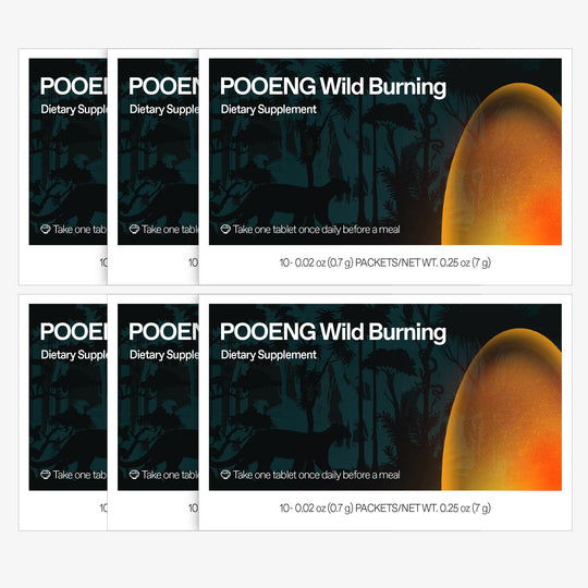 Pooeng Wild Burning 6 Boxes