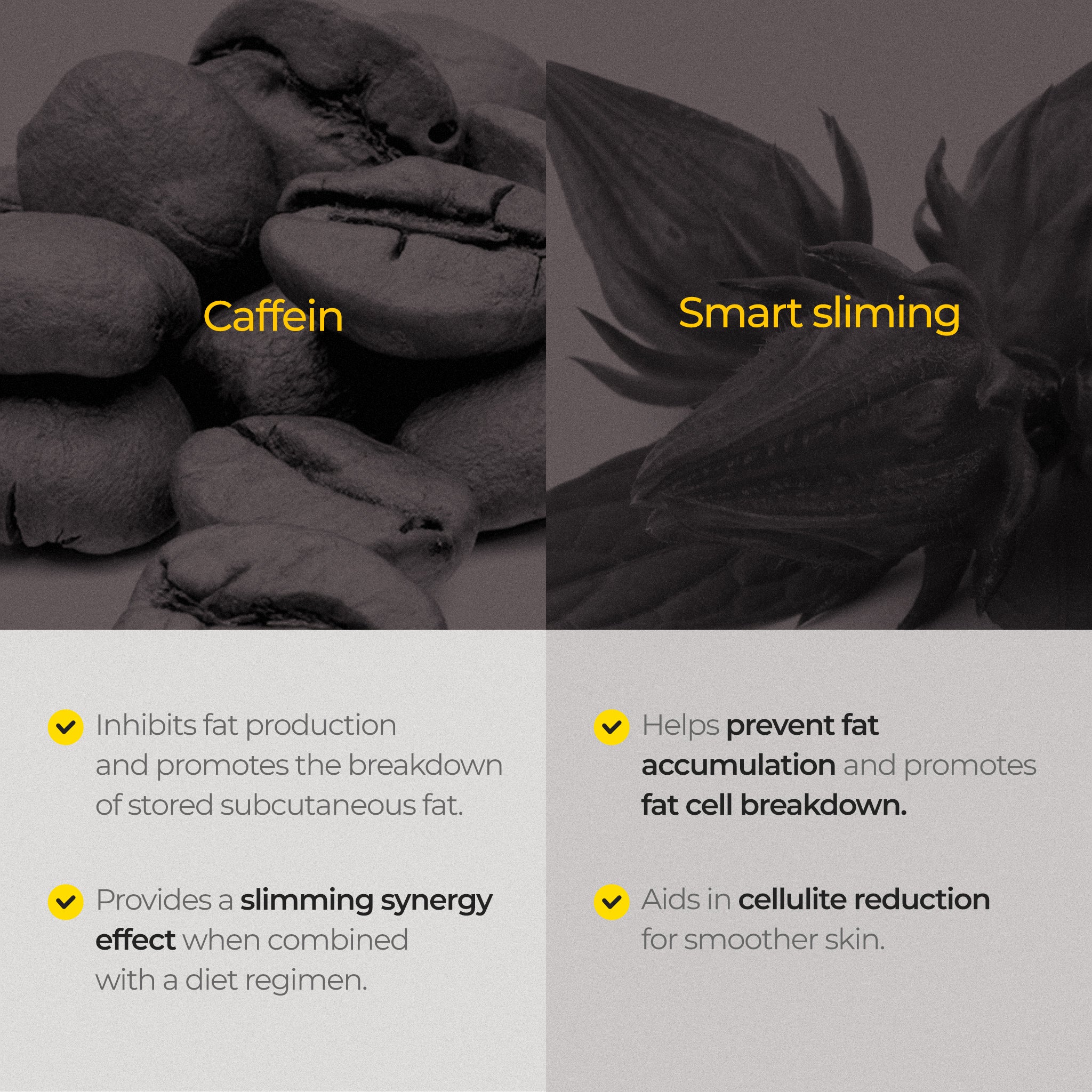 CALO EMS Slim Maker Pro + CALO Spicule Body Shot Body Lotion + CALO Neodymium Strap 3600