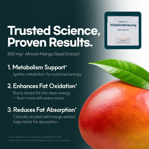 Pooeng Wild Burning - dr.blet