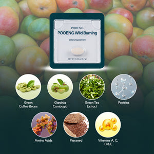 Pooeng Wild Burning - dr.blet